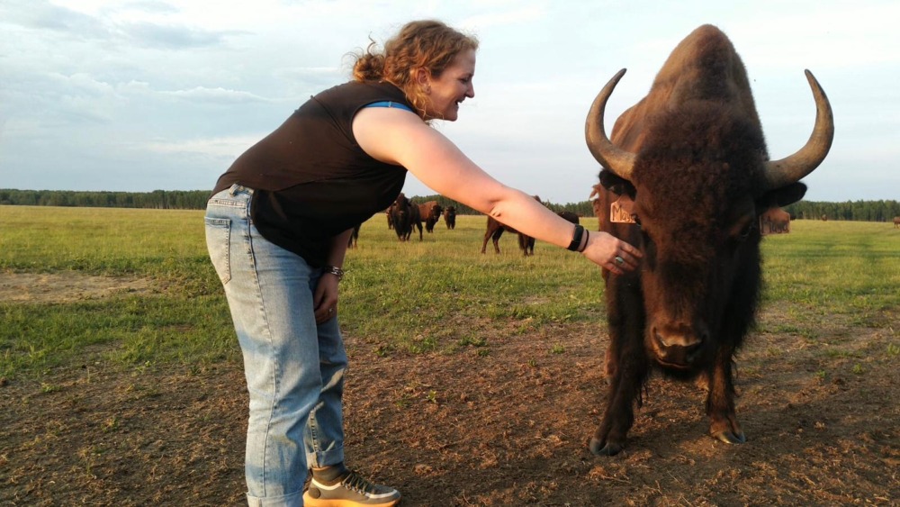 Ciara O'Halloran 2019 Nuffield Scholar pitcured with Bison in Canada