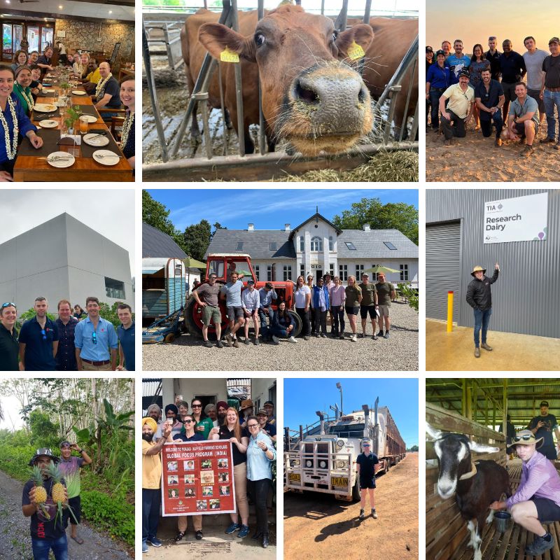 A selection of photos of Nuffield Scholars on their Summer 2023 GFP